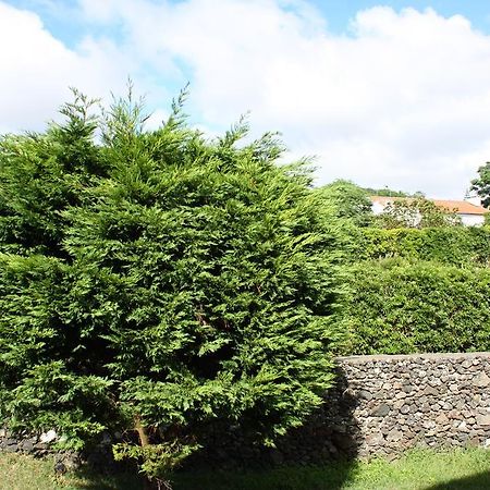 Apartamento Mar E Serra Ponta Delgada Exterior foto